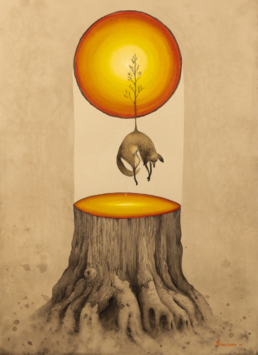 Old Growth, New Life by Graham Franciose