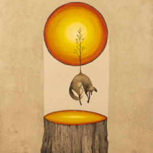 Old Growth, New Life by Graham Franciose