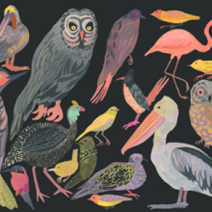 Birds by Michelle Morin
