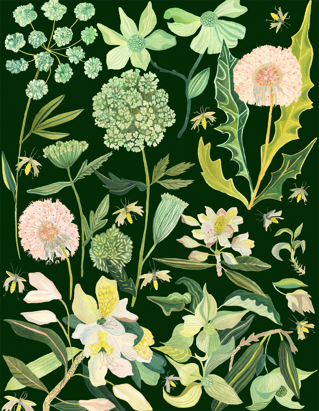 June by Michelle Morin