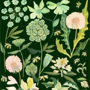 June by Michelle Morin