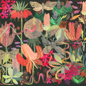 Tiger and Tiger Lily by Michelle Morin