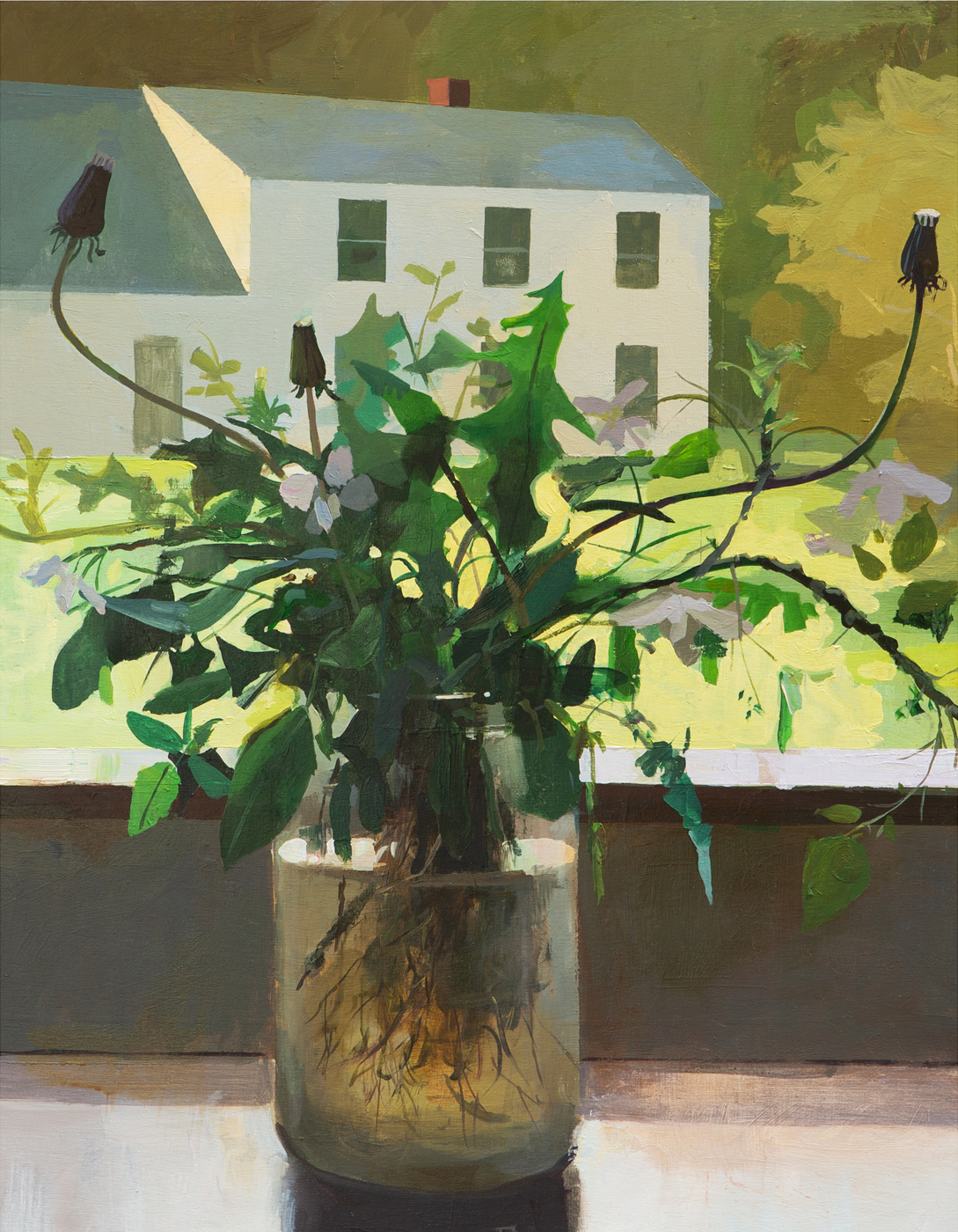 Dandelions by Jeremy Miranda