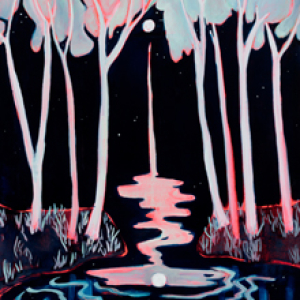 Swimming in Stars by Danielle Winger