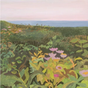 Seaside Daisies by Michelle Morin