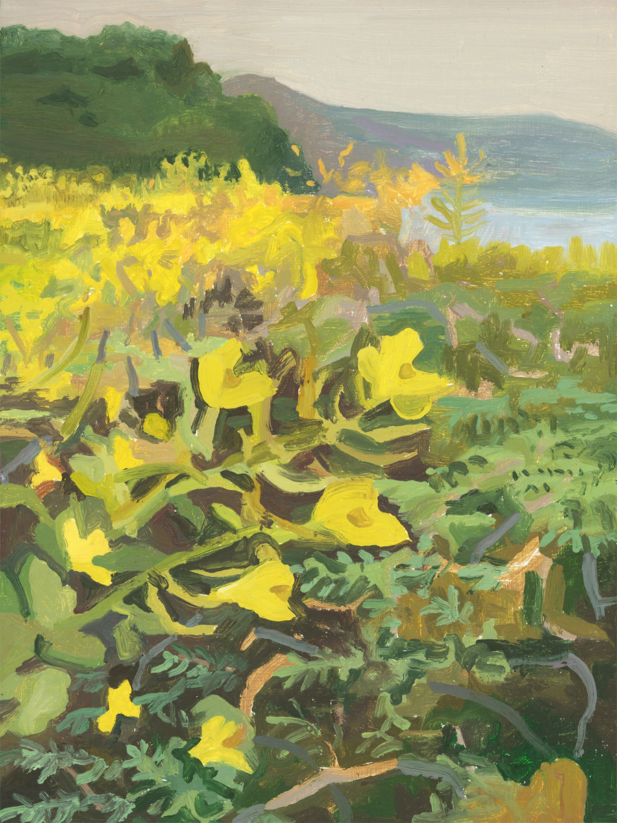 Wild Mustard by Michelle Morin