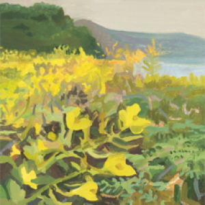 Wild Mustard by Michelle Morin