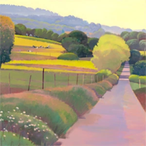 Camino Day 50, Silleda, Galicia by Susan Abbott