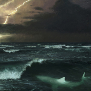 Fossil by Mia Bergeron