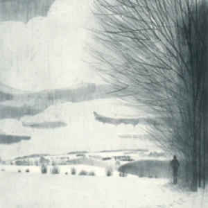 Winter Trees by Katja Lang