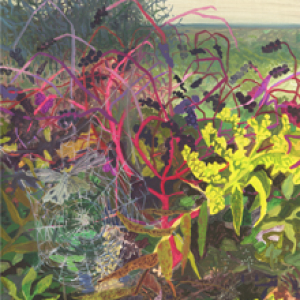 Pokeweed by Michelle Morin